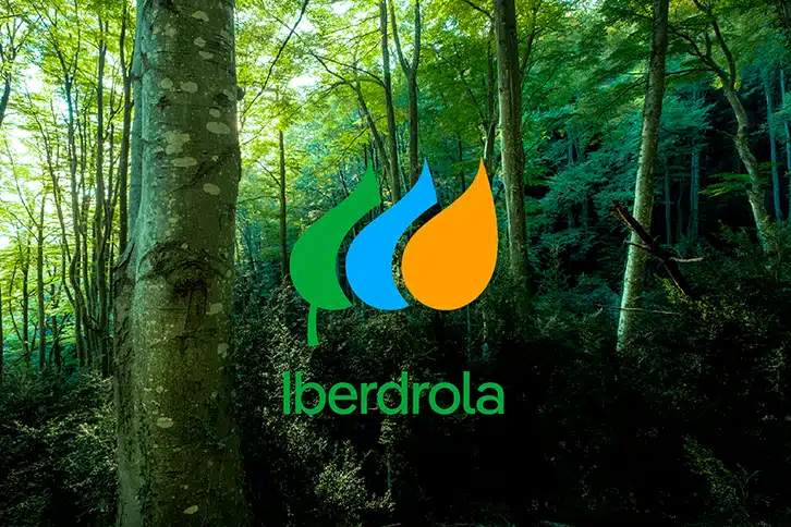 Iberdrola tarifas luz